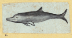Scrap Book, Volume 6, p.18