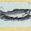 Scrap Book, Volume 6, p.18