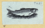 Scrap Book, Volume 6, p.18