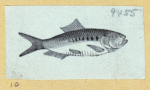 Scrap Book, Volume 6, p.18
