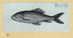 Scrap Book, Volume 6, p.18
