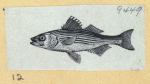Scrap Book, Volume 6, p.18