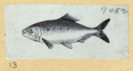 Scrap Book, Volume 6, p.18