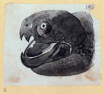 Scrap Book, Volume 6, p.20