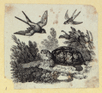 Scrap Book, Volume 6, p.21