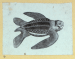 Scrap Book, Volume 6, p.21