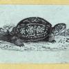 Scrap Book, Volume 6, p.21