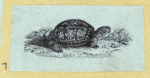 Scrap Book, Volume 6, p.21