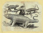 Scrap Book, Volume 6, p.22