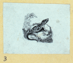 Scrap Book, Volume 6, p.22