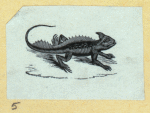 Scrap Book, Volume 6, p.22
