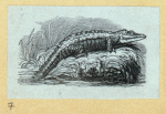 Scrap Book, Volume 6, p.22