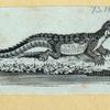 Scrap Book, Volume 6, p.22