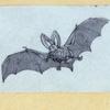 Scrap Book, Volume 6, p.23