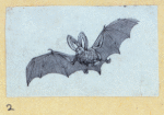 Scrap Book, Volume 6, p.23