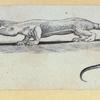 Scrap Book, Volume 6, p.23