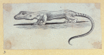 Scrap Book, Volume 6, p.23