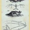 Scrap Book, Volume 6, p.23