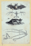 Scrap Book, Volume 6, p.23