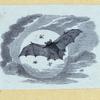 Scrap Book, Volume 6, p.23