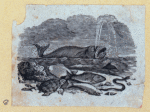 Scrap Book, Volume 6, p.23