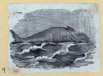 Scrap Book, Volume 6, p.23