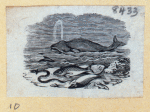 Scrap Book, Volume 6, p.23