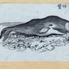 Scrap Book, Volume 6, p.23