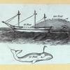 Scrap Book, Volume 6, p.24