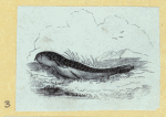 Scrap Book, Volume 6, p.24