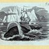 Scrap Book, Volume 6, p.24