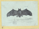 Scrap Book, Volume 6, p.24
