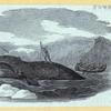 Scrap Book, Volume 6, p.24