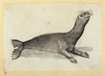 Scrap Book, Volume 6, p.24