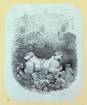 Scrap Book, Volume 6, p.31