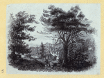 Scrap Book, Volume 6, p.41