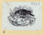 Various birds.
