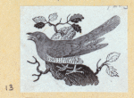 Various birds.