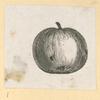 Fruit.