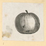 Fruit.