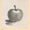 Fruit.