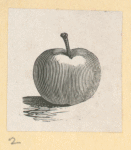 Fruit.