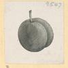 Fruit.