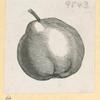 Fruit.