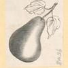 Fruit.