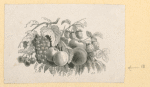 Fruit.