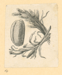 Vegetables and grains.