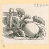 Vegetables and grains.