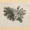 Fruit and flowers.