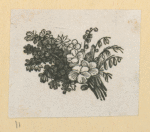 Fruit and flowers.